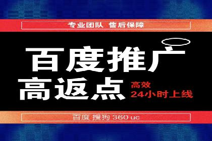 百度竞价代理技巧：经典成功案例解析